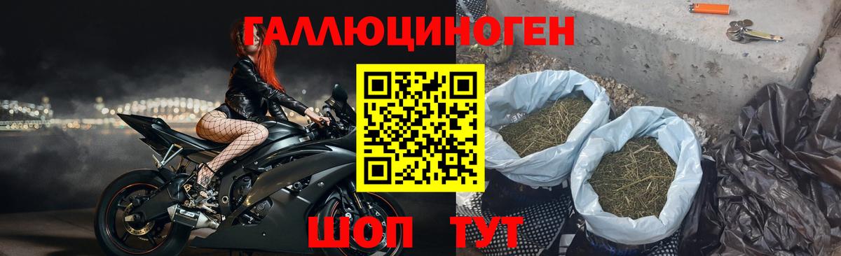 Псилоцибиновые грибы Cubensis Соликамск